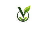 VegaLink